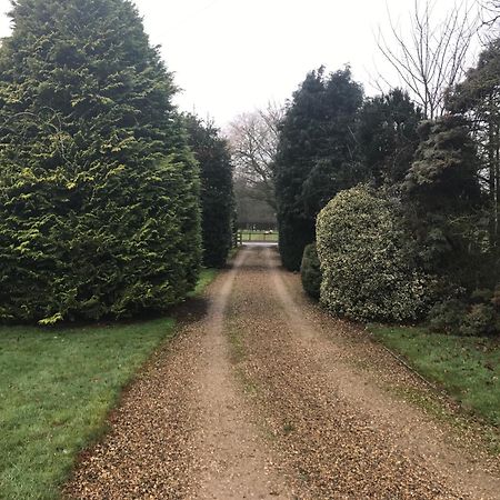 Highfield Villa Lissett Dış mekan fotoğraf
